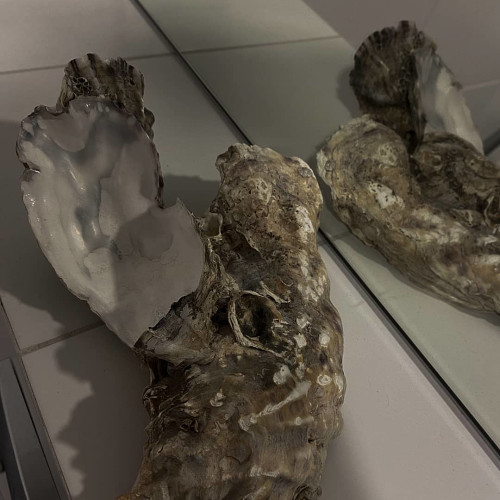 Ульяна Даниловa