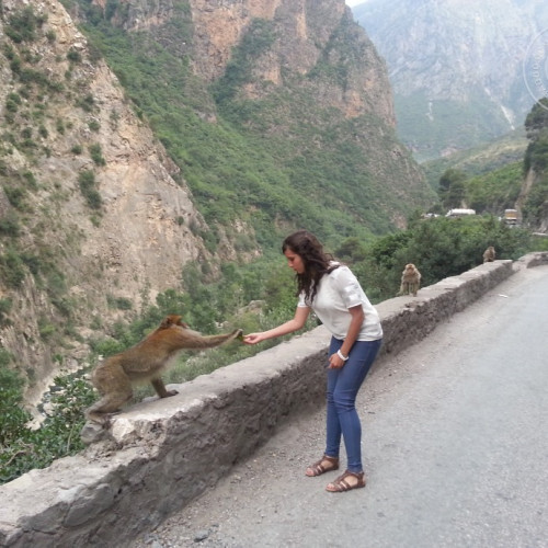 Александра Третьяковa