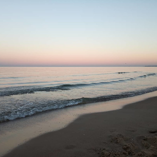 Тамара Никифоровa