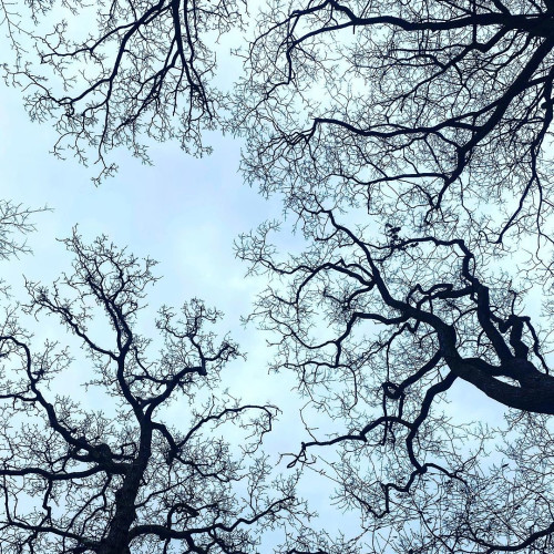 Федосья Горбуновa