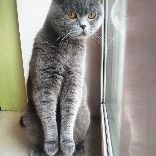 Людмила Дмитриевa