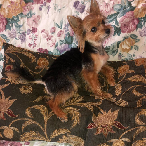 Люся Калининa