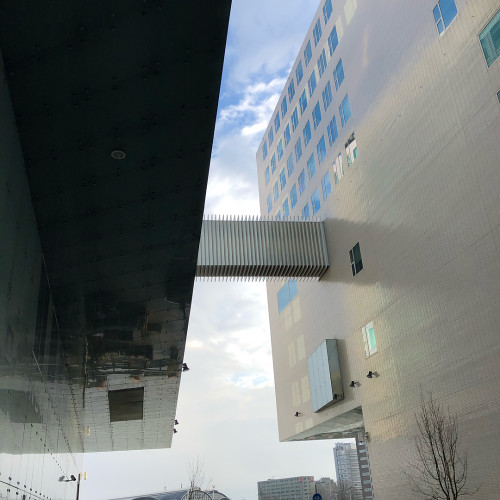 Дина Одинцовa