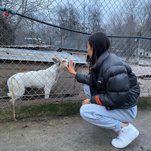 Светлана Князевa