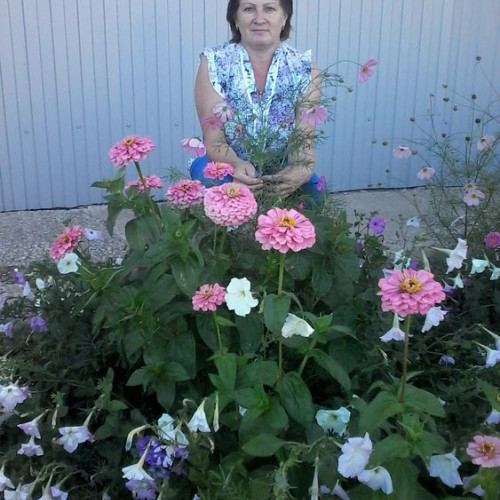 Любовь Гордеева