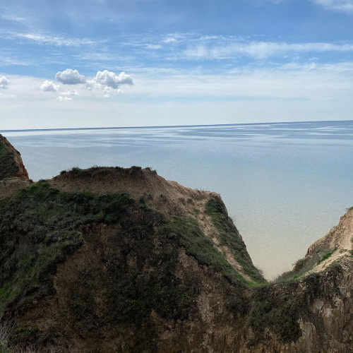 Ніна Захарчук