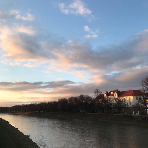 Полина Комиссаровa