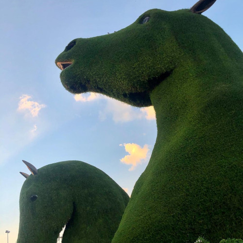 Олександра Сергієнко