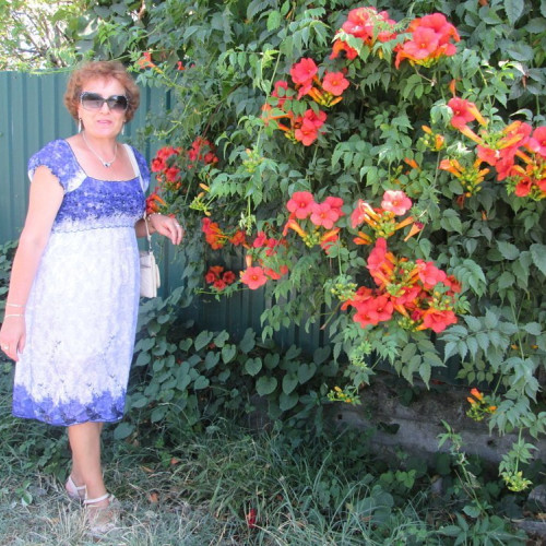 Gulnara