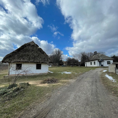 Злата Фроловa