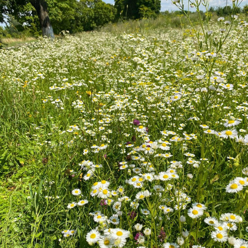 Людмила Уваровa