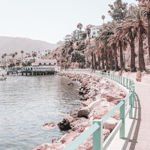 Изабелла Цветковa