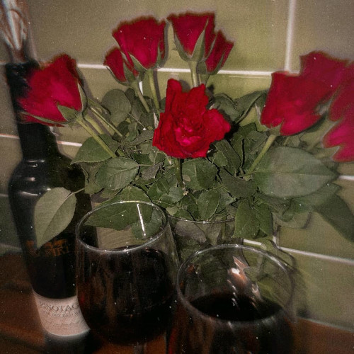 Лариса Васильєв