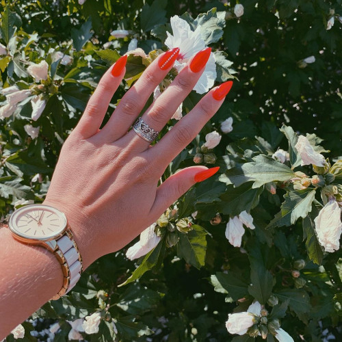 Розалина Мишинa