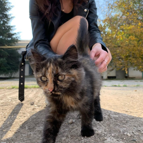 Ярослава Мишинa