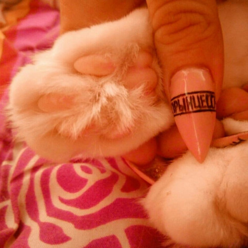 Наташа Іванченко