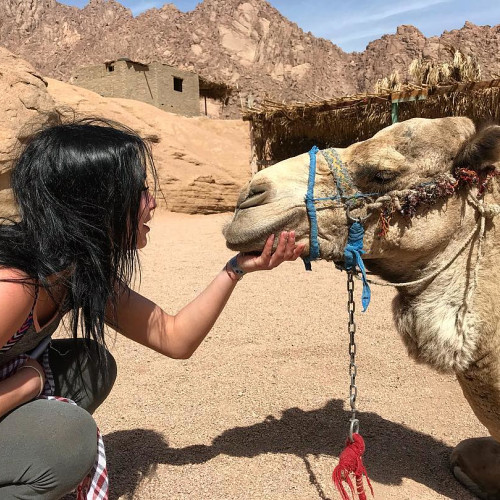 Людмила Сергієнко