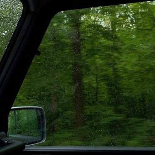 Дар'я Дмитренко