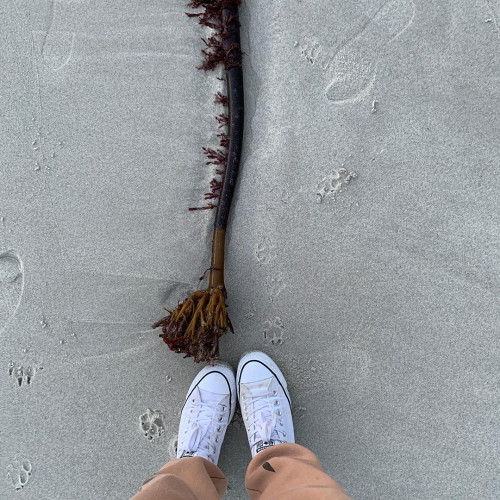 Инесса Дроздовa