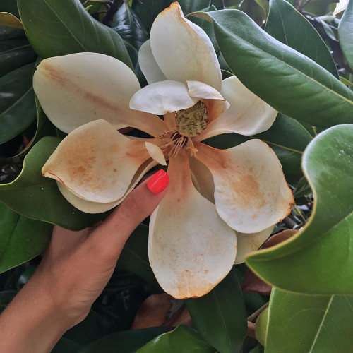 Татьяна Лыткинa