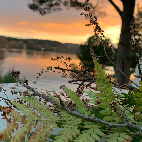 Евгения Кулагинa