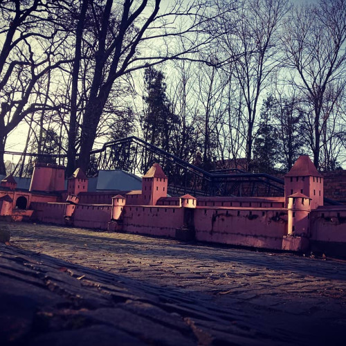 Флорентина Ивановa