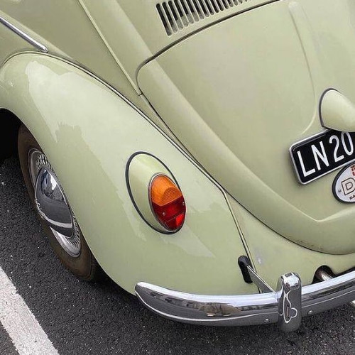 Наташа Шевченко