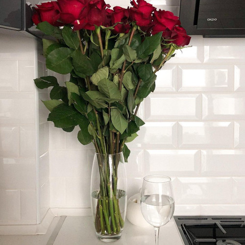 Фаина Никоновa