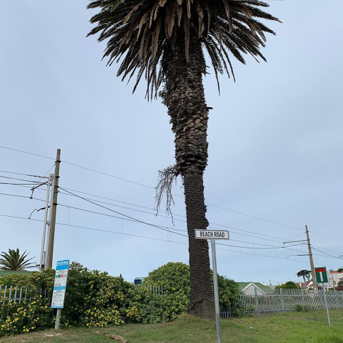 Алёна Фёдоровa