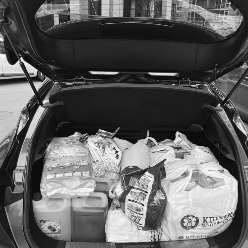 Полина Костинa