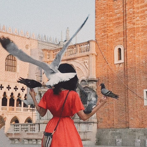 Рада Фадеевa