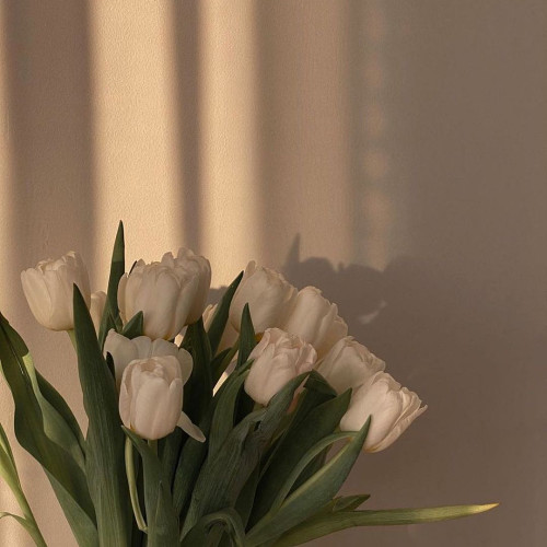 Марія Кравчук