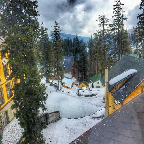 Александра Кузнецовa