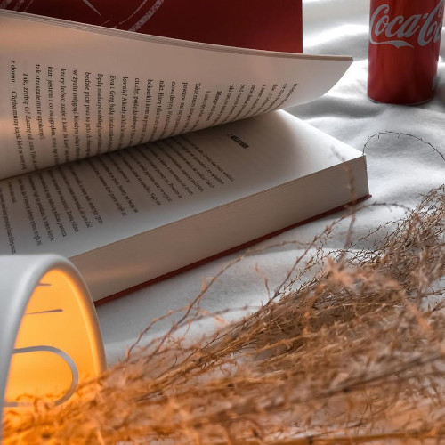 Раиса Абрамовa