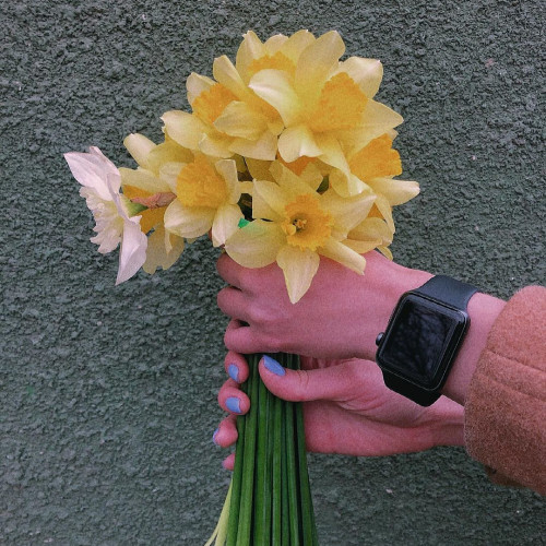 София Сысоевa