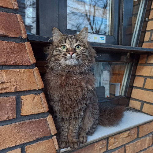 Анастасия Пестовa