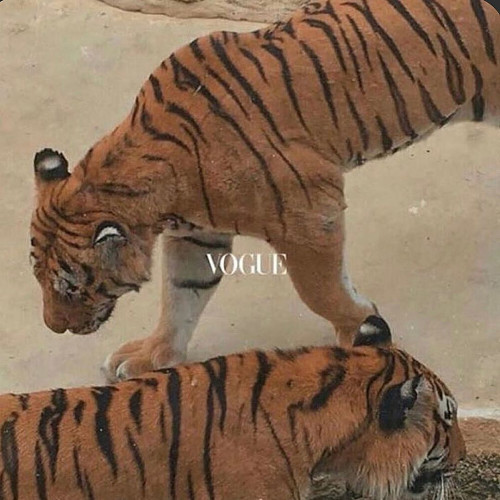 Ника Костинa