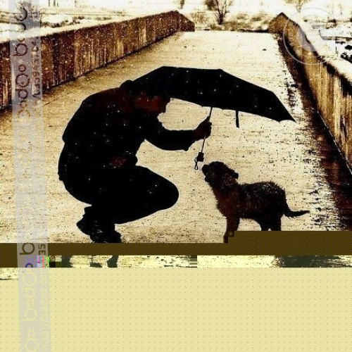 Варвара Богдановa