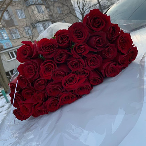 Smaidiņa Zviedrītis