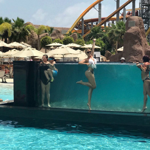 Алла Шевченко