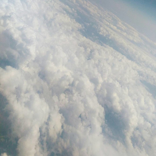 Полина Селиверстовa