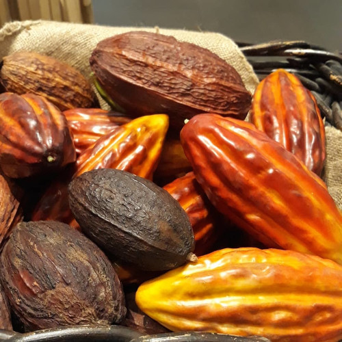 Клара Комаровa