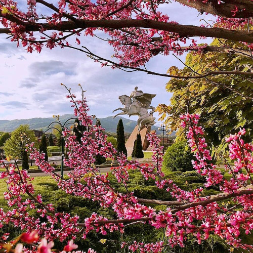 Анастасія Боднаренко