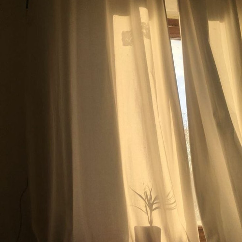 Изабелла Прохоровa