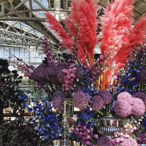 Доминика Зиновьевa