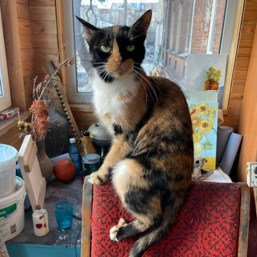 Анжелика Потаповa