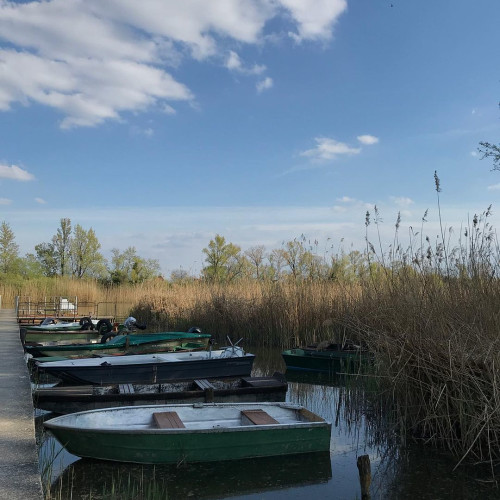 Латиф Зікірия