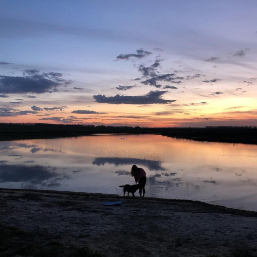 Діана Пономаренко