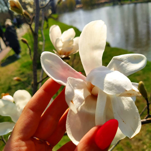 Яна Кузнецовa