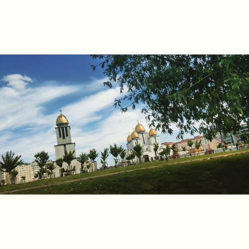 Вікторія Середа